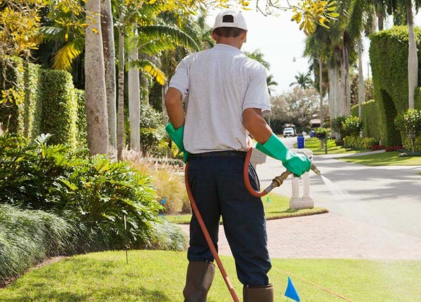 About Terrell NC Pest Control Pros